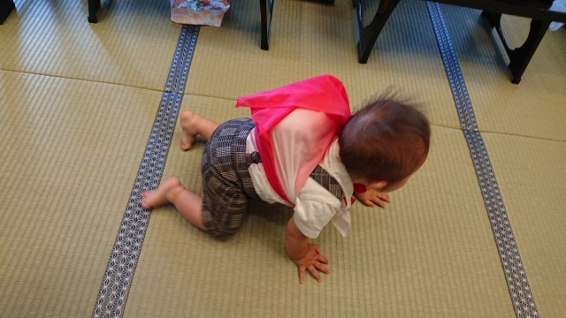 f:id:nisaisa-ikuzi:20191214094655j:plain f:id:nisaisa-ikuzi:20191214094655j:plain