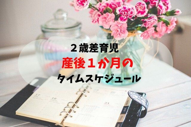 f:id:nisaisa-ikuzi:20200315153126j:plain f:id:nisaisa-ikuzi:20200315153126j:plain